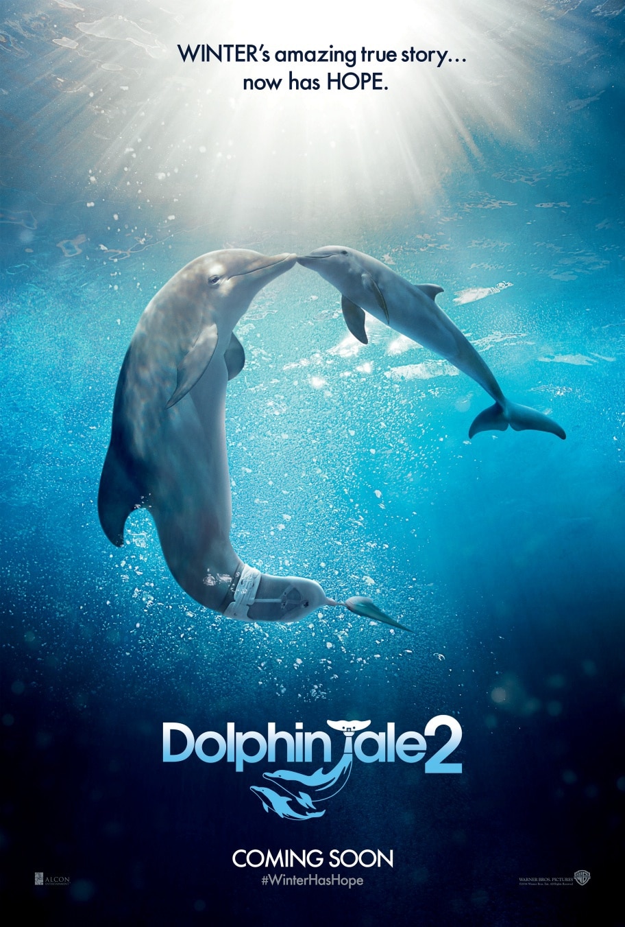 Dolphin Tale 2 Pg Movie Deputy